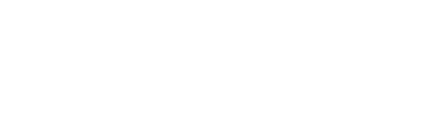 Logo_Blue_Blanco